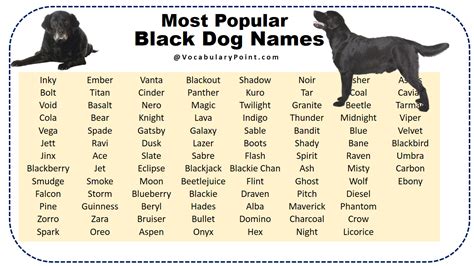 good black dog names female|unique names for black dogs.